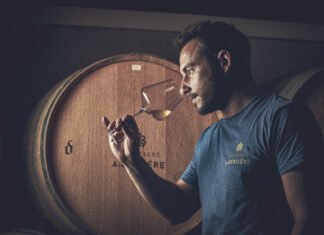 에페르네의 샹파뉴 에비뉴의 숨겨진 보석 Champagne A. Bergère