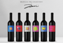 슈퍼 투스칸의 스타일로 빚은 Brancaia Collection