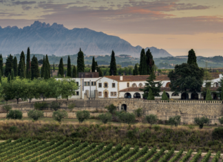 230년 역사, 스페인 후베 가문의 까바 Juvé & Camps