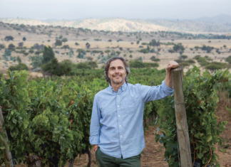 다가즈 와인의 꿈꾸는 와인메이커 마르코 푸요 Marco Puyo