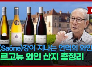 제 71강 프랑스 동부 손(Saône) 강이 흐르는 언덕의 와인 – 부르고뉴 와인 총정리