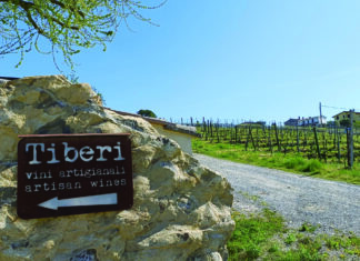 느림의 미학, 이탈리아 내추럴 와인 : 티베리