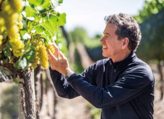 말벡의 마스터피스를 만들다, Viña Cobos 오너 와인메이커 Paul Hobb