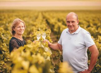 그랑 크뤼 샴페인 만을 만들어내는 고품질 샴페인 하우스, Champagne Lamiable