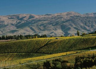 뉴질랜드 센트럴 오타고, 번코타지