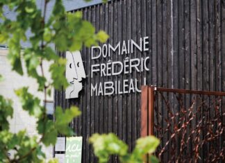 같은 방향을 바라보는 Domaine Frédéric Mabileau