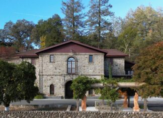 나파 밸리의 신흥 강자, 캐시아드 빈야드 호라 나파 밸리 2020