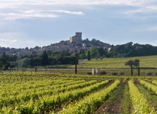 샤또뇌프 뒤 파프의 명주 샤또 드 보드위 (Château de Vaudieu Rouge)