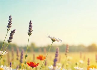 4월의 와인, 봄바람에 실려온 축제의 향기