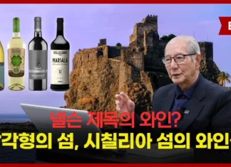 제 76강. 삼각형의 섬, 시칠리아 섬의 와인들