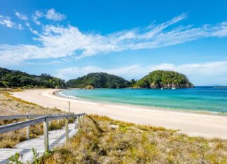 뉴질랜드 섬의 와인