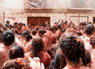 벤타 필라(Venta Pilar) 와인과 함께 떠나는 맛있는 여행