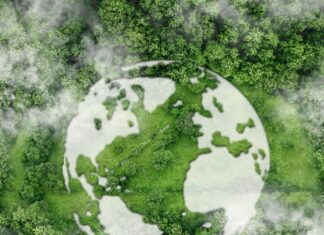 와인, 친환경을 말하다.