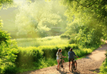 6월의 햇살 아래, 스파클링 와인처럼 반짝이는 순간들