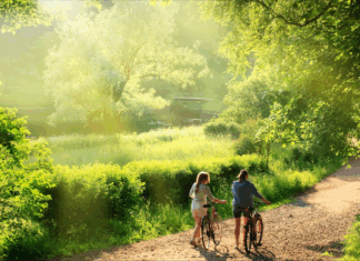 6월의 햇살 아래, 스파클링 와인처럼 반짝이는 순간들