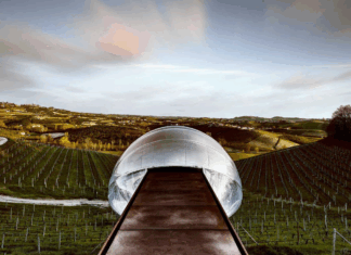 Korea Wine Challenge 2025 베스트 이탈리아 와인을 만나다. 피에몬테의 체레토(Ceretto)