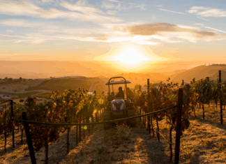 가성비, 가심비 모두 잡은 프리미엄 와인, 맥프라이스 마이어스 와인즈 (McPrice Myers Wines)