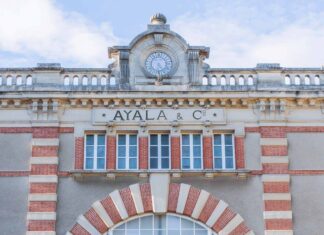 정밀함과 순수함의 미학, 아얄라 AYALA