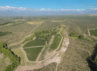 경험하지 못했던 아르헨티나의 컬트 와인, 페르쎄