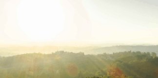 새로운 명품의 탄생, 포데르누오보 (PoderNuovo)