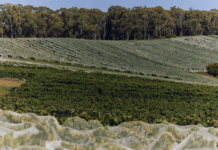 빅토리아 주 야라 밸리 자이언트 스텝스(Giant Steps)