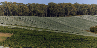 빅토리아 주 야라 밸리 자이언트 스텝스(Giant Steps)