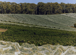 빅토리아 주 야라 밸리 자이언트 스텝스(Giant Steps)