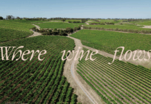 남호주 와인으로 짙게 물드는 가을의 프렐류드, 대전와인엑스포 남호주 관