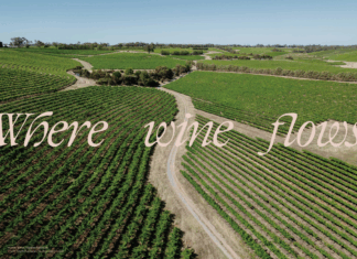 남호주 와인으로 짙게 물드는 가을의 프렐류드, 대전와인엑스포 남호주 관