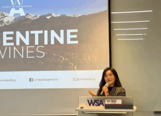 아르헨티나 마스터클래스, The Wine for Now: Argentina Wine Diverse Masterclass