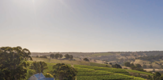 떼루아의 언어로 빚은호주의 그랑 크뤼, 히킨보탐(Hickinbotham)