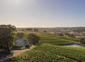 떼루아의 언어로 빚은호주의 그랑 크뤼, 히킨보탐(Hickinbotham)