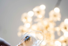 차가운 겨울에 만나는 로맨틱 스파클링, 오스트리아 젝트