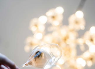 차가운 겨울에 만나는 로맨틱 스파클링, 오스트리아 젝트