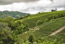 전통을 품은 피에몬테의 작은 걸작 루이지 바우다나 Luigi Baudana