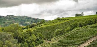 전통을 품은 피에몬테의 작은 걸작 루이지 바우다나 Luigi Baudana